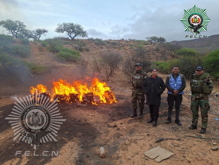 Incineran más de 151 kilos de marihuana incautada en Tarija