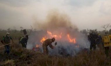 Revisan entrega de tierras en 900 comunidades