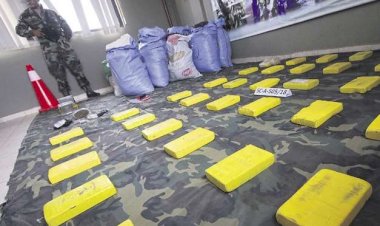 Los sellos de la cocaína desvelan la calidad y los dueños de la droga