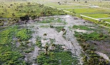 Reportan 18.500 hectáreas de cultivos dañados en el país