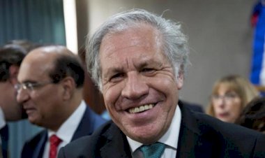Almagro es reelecto y seguirá en la OEA cinco años más
