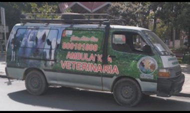 En Tarija disponen ambulancias para animales