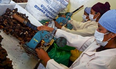 Gobierno anuncia “programa amplio” para recuperar la economía y un plan de créditos ante la crisis por la Covid-19