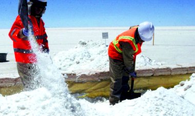 De transgénicos a inversión en litio, las opciones de Bolivia para reactivar la economía