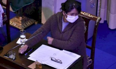 Identifican 3 irregularidades en la aprobación de Ley de Postergación de Elecciones