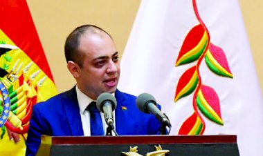 Mostajo: «El comité científico asesora a la Presidenta, pero no realiza compras»