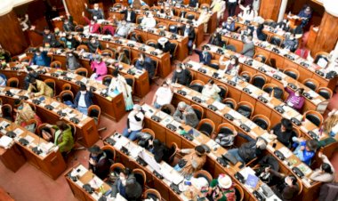 Diputados asegura que la Asamblea promulgará ley de elecciones si Áñez no lo hace