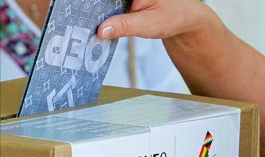 El MAS rechaza la presencia de la OEA en las elecciones de septiembre