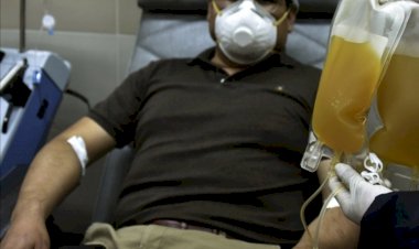 El Senado sanciona la ley que promueve la donación de plasma hiperinmune