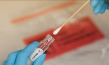 Plantean inhabilitar a candidatos que den positivo al Covid-19