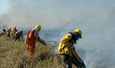 El fuego devora 91.342 hectáreas en el parque nacional Otuquis