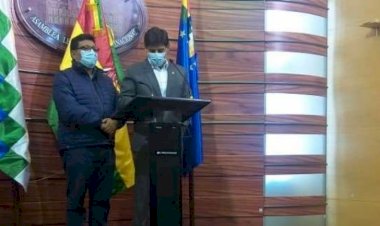 Senado inicia tratamiento de ley que fija el 18 de octubre como fecha máxima de las elecciones