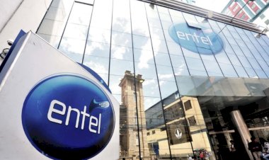 Socios privados de la telefónica subastan el 0,03 por ciento, paquete accionario de Entel