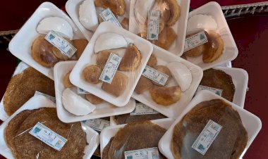 "Chaguaya en tu Hogar" un proyecto que permite adquirir productos tradicionales