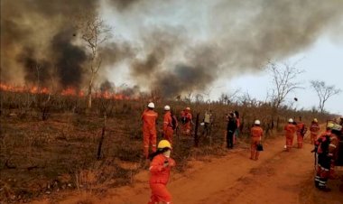 Tribunal de Derechos de la Naturaleza determina ‘ecocidio’ en la Chiquitanía en 2019