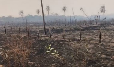 Gobierno registra incendios activos en al menos seis municipios de Santa Cruz