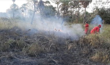 Áñez anuncia la derogación del decreto que autoriza quema y desmontes