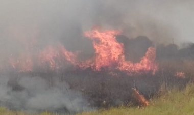 Santa Cruz anuncia riesgo alto y extremo de sufrir incendios forestales