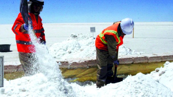 De transgénicos a inversión en litio, las opciones de Bolivia para reactivar la economía