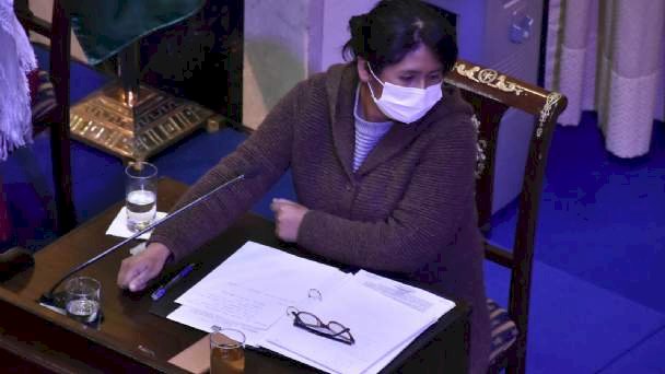 Identifican 3 irregularidades en la aprobación de Ley de Postergación de Elecciones