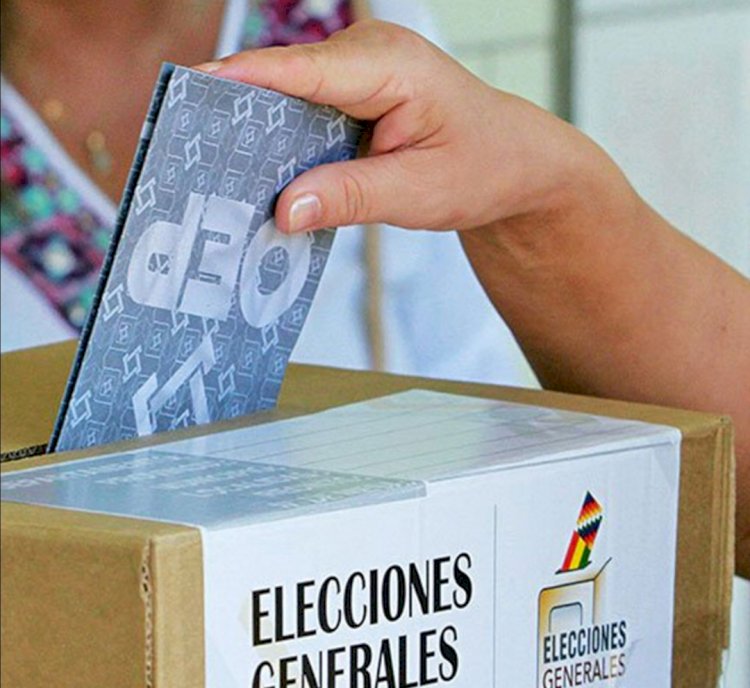 El MAS rechaza la presencia de la OEA en las elecciones de septiembre