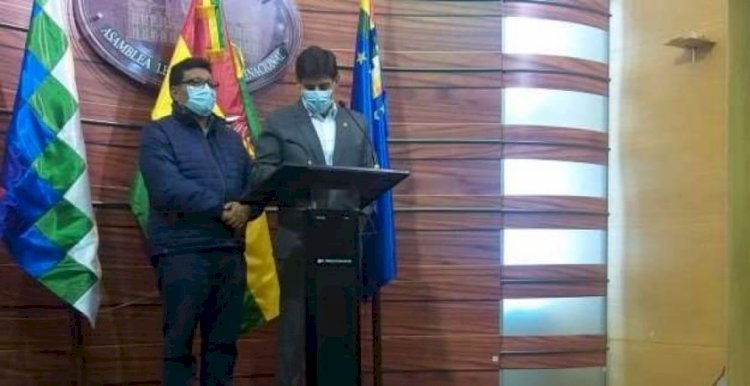 Senado inicia tratamiento de ley que fija el 18 de octubre como fecha máxima de las elecciones