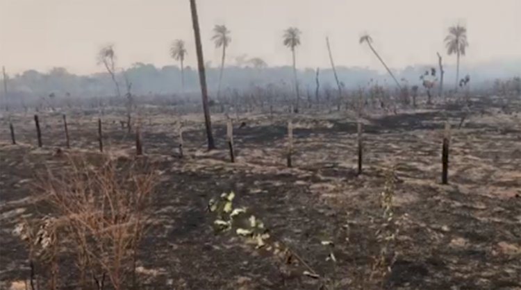 Gobierno registra incendios activos en al menos seis municipios de Santa Cruz
