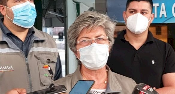 Ministra Pinckert confirma que los incendios ya afectaron 500 mil hectáreas