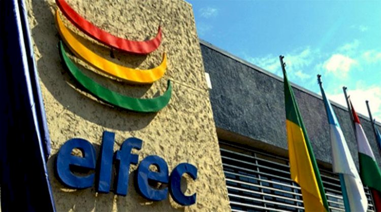 Áñez aprueba decreto para analizar situación de Elfec y una posible devolución de acciones